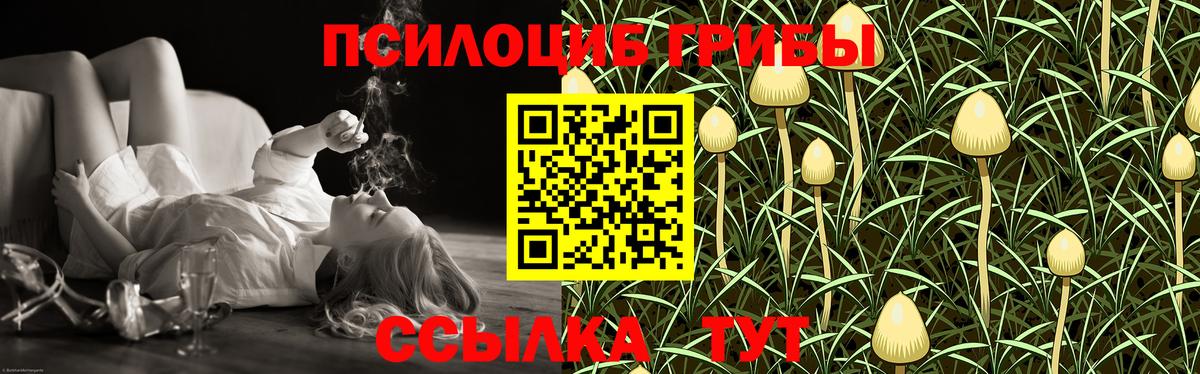 наркошоп  Вход с VPN  Астрахань  Галлюциногенные грибы мицелий 